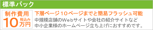 標準パック