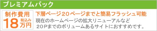 プレミアムパック